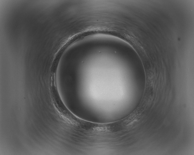 X0000054440160200507291327