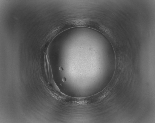 X0000054440161200507291327