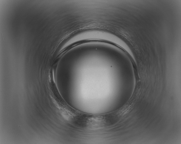 X0000054440164200507291327
