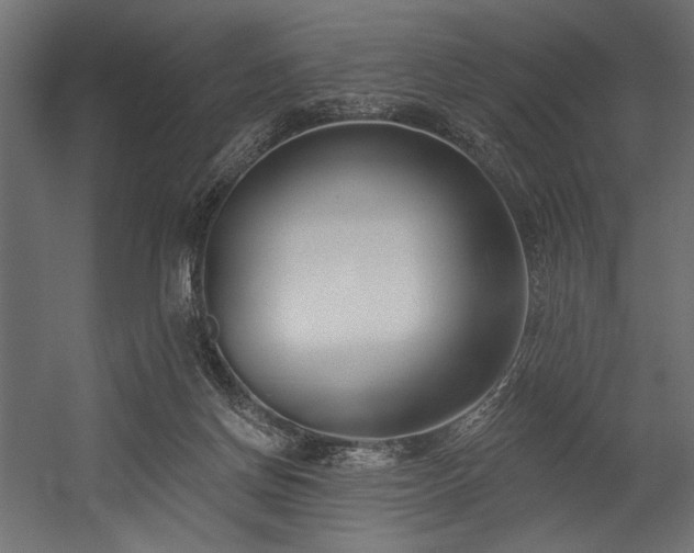 X0000054440166200507291327