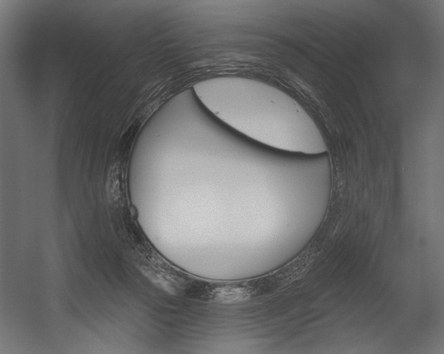X0000054440169200507291327
