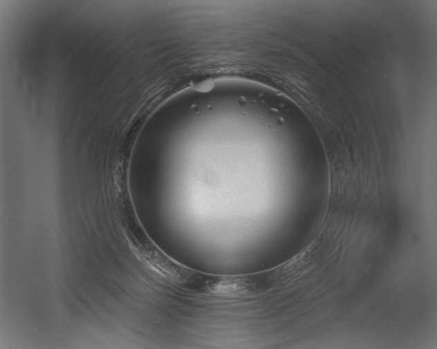 X0000054440171200507291327
