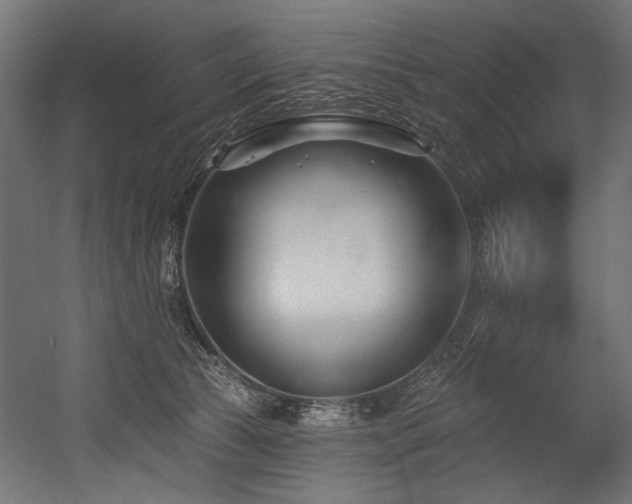 X0000054440177200507291327