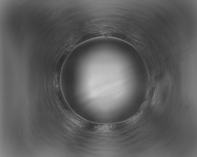 X0000054440182200507291327
