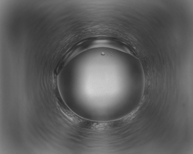 X0000054440186200507291327