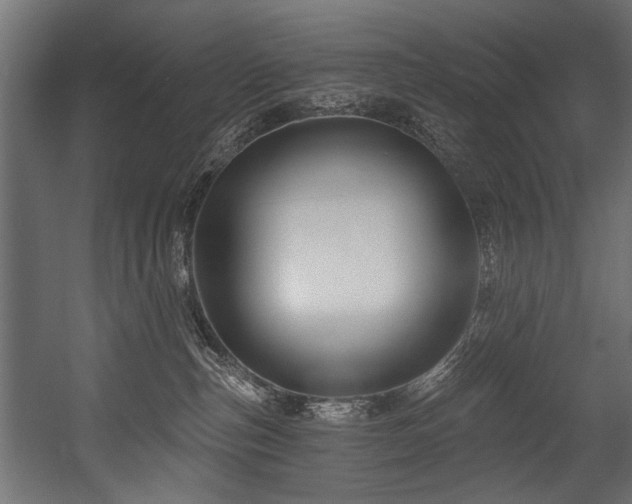X0000054440187200507291327