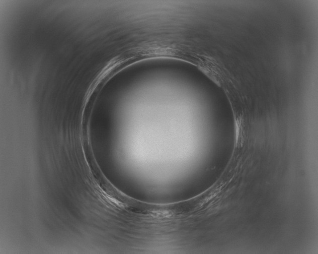 X0000054440195200507291326