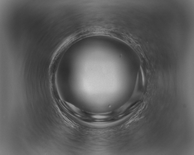 X0000054440197200507291326