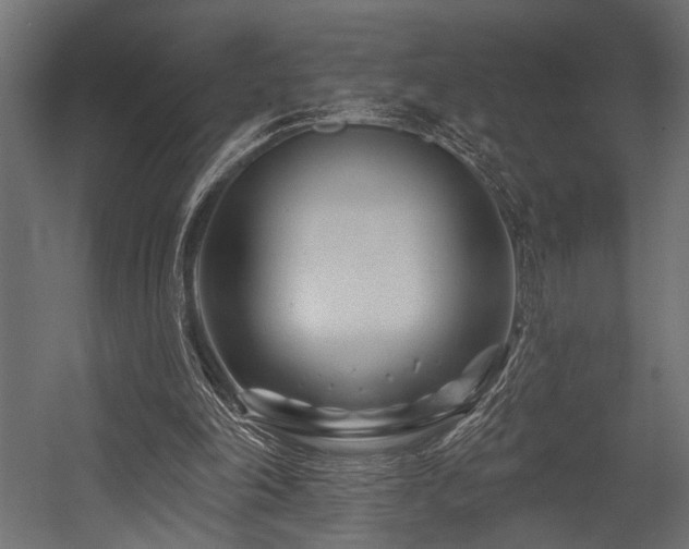 X0000054440198200507291326