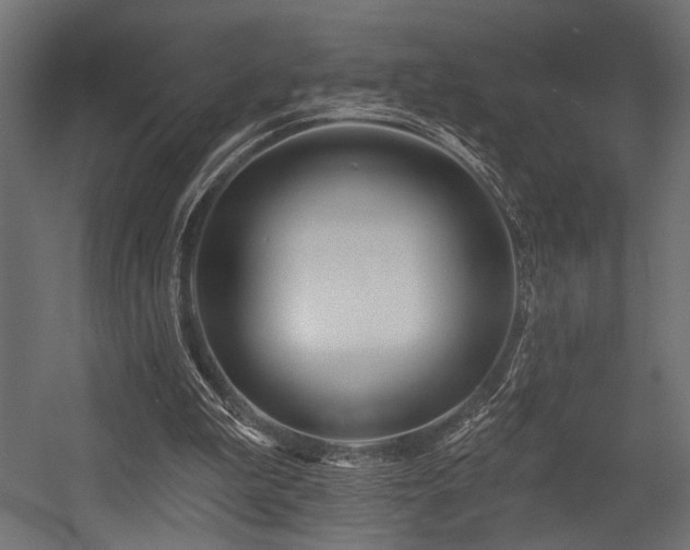 X0000054440199200507291326
