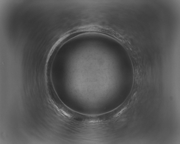 X0000054440200200507291326