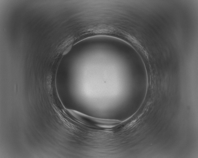X0000054440201200507291326