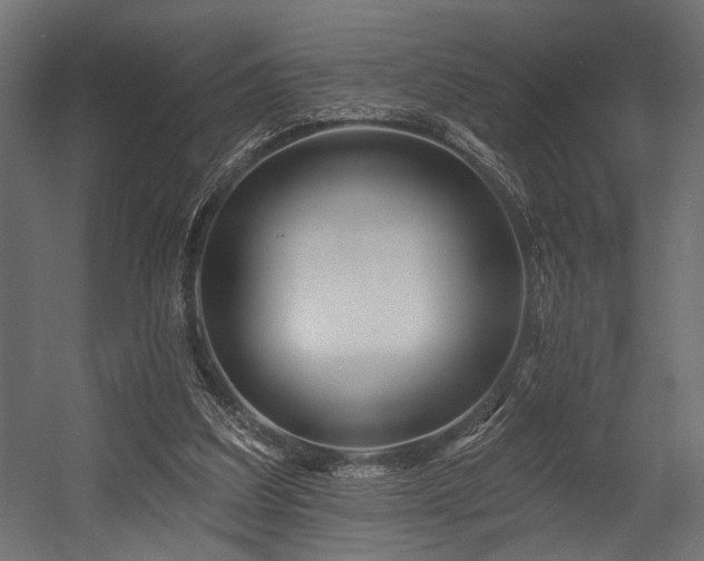 X0000054440203200507291326
