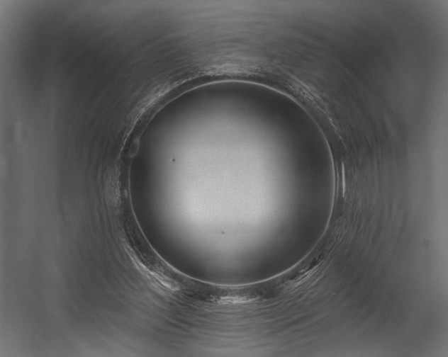 X0000054440204200507291326