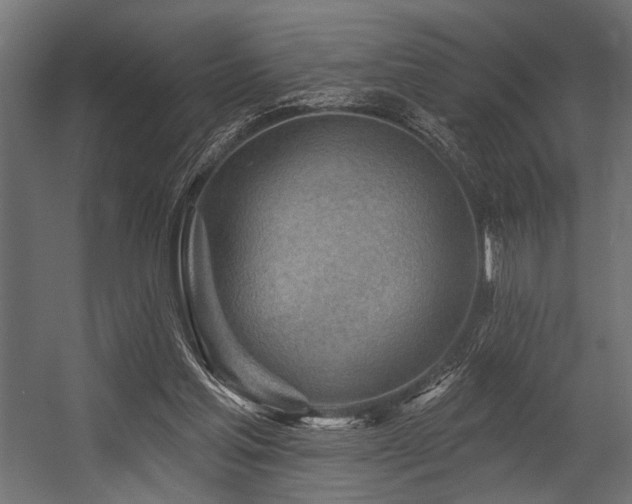 X0000054440205200507291326