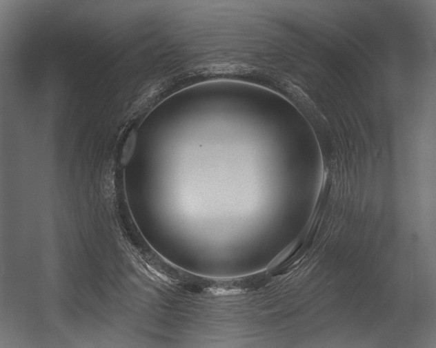 X0000054440207200507291326