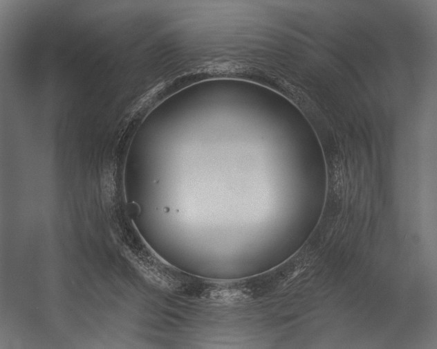 X0000054440208200507291326