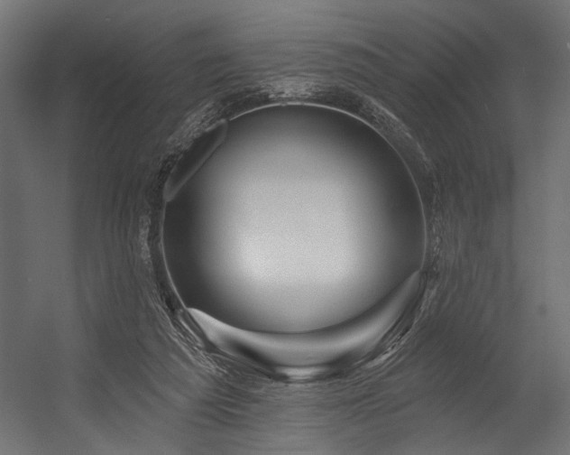 X0000054440209200507291326