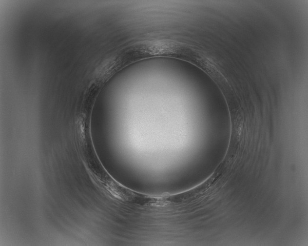 X0000054440214200507291326