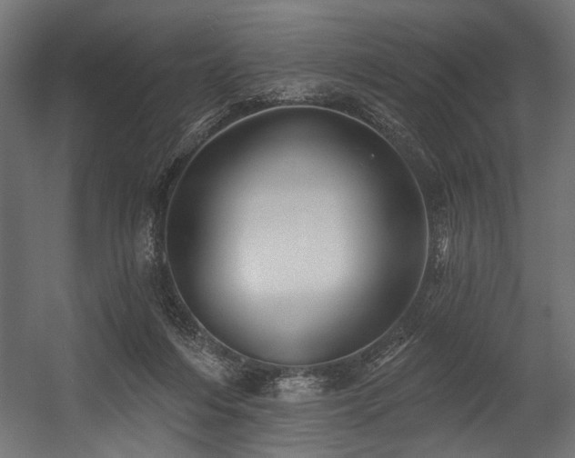 X0000054440216200507291326