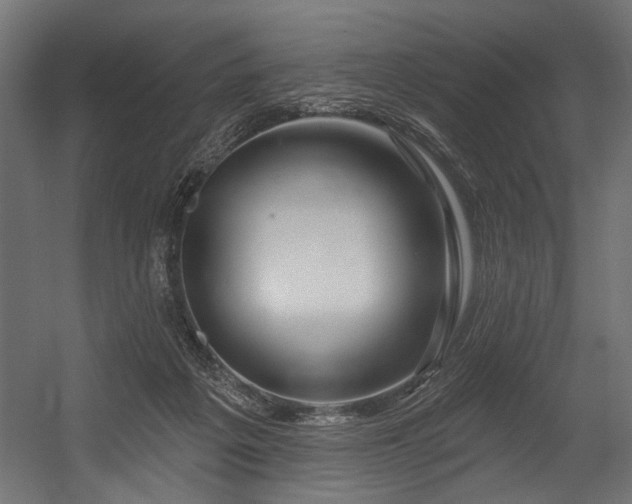 X0000054440217200507291326