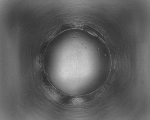 X0000054440218200507291326