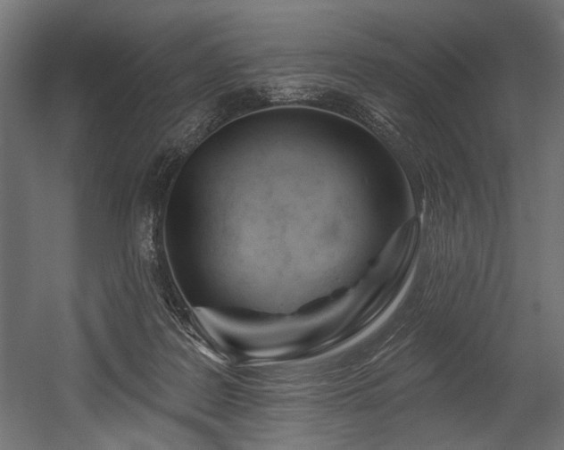 X0000054440219200507291326