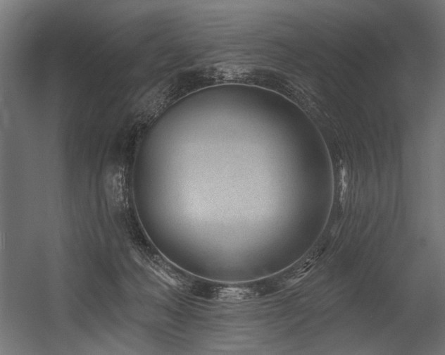 X0000054440222200507291326