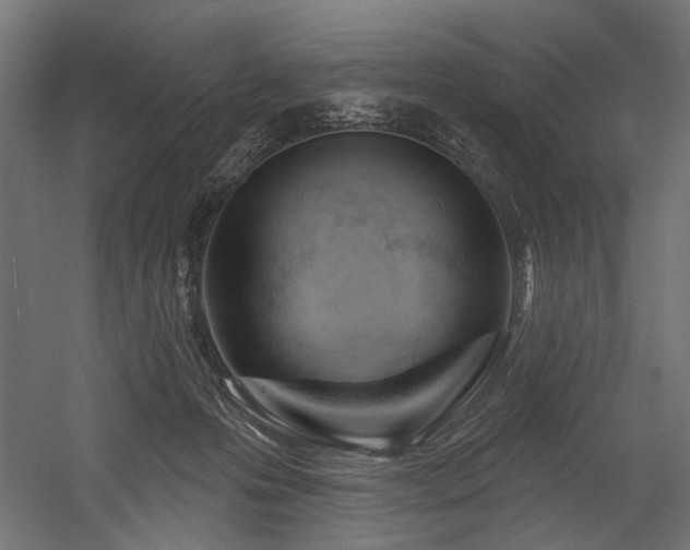 X0000054440223200507291326