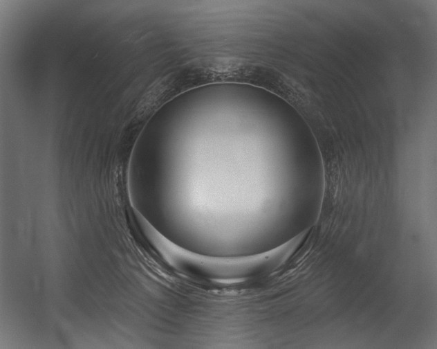 X0000054440225200507291326
