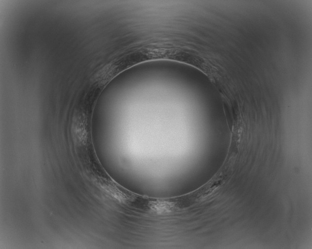 X0000054440226200507291326