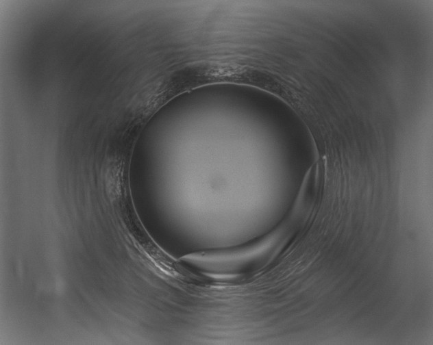 X0000054440227200507291326