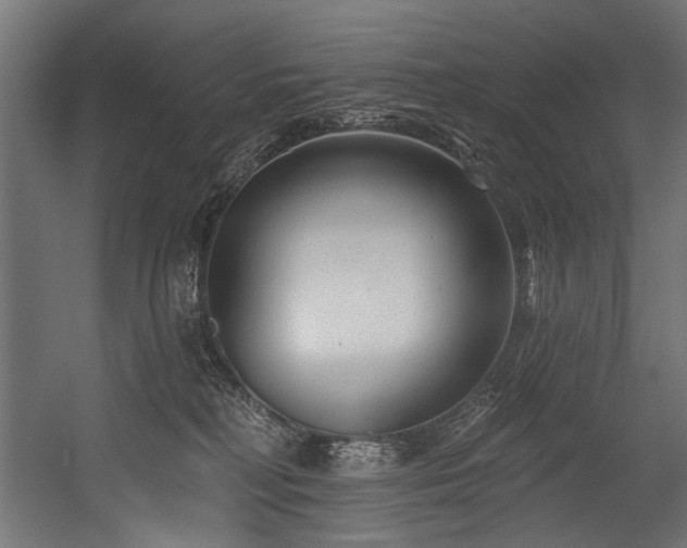 X0000054440230200507291326