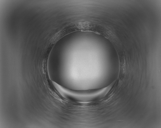 X0000054440233200507291326