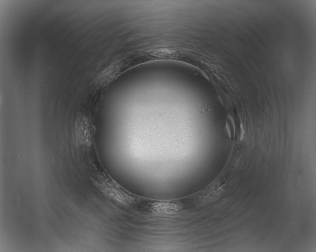 X0000054440234200507291326