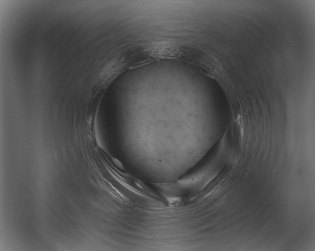X0000054440239200507291326