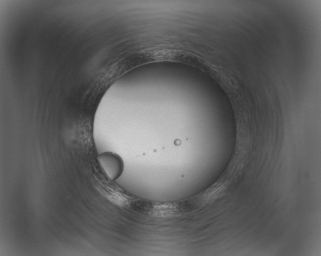 X0000054440240200507291326