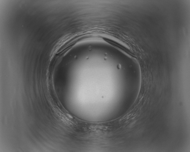 X0000054440242200507291325