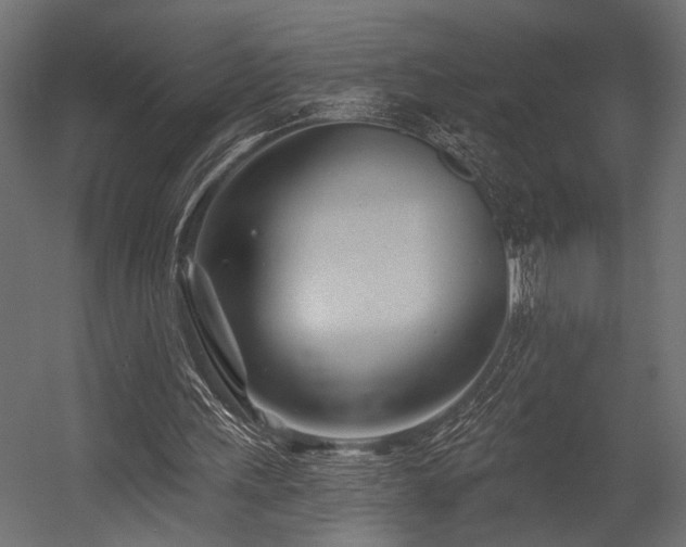 X0000054440243200507291325