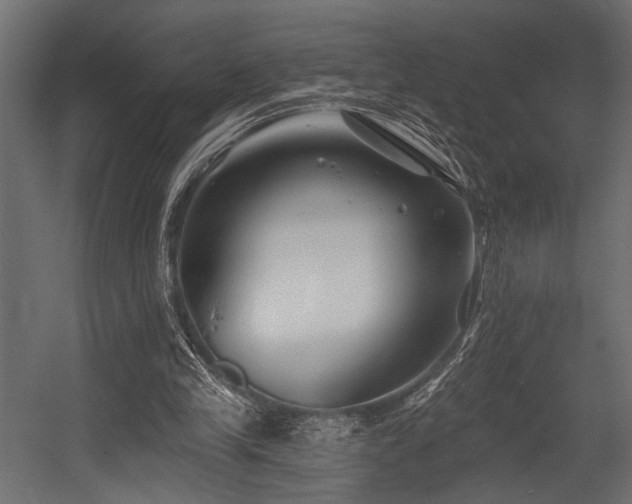 X0000054440245200507291325