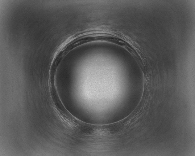 X0000054440248200507291325
