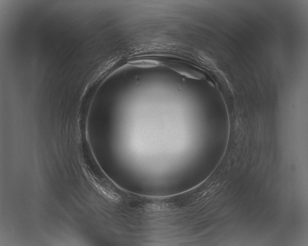 X0000054440250200507291325