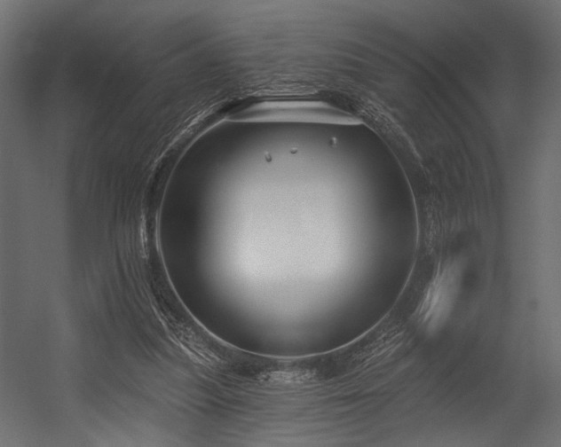 X0000054440251200507291325