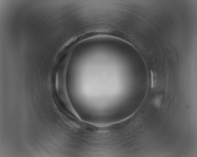 X0000054440252200507291325