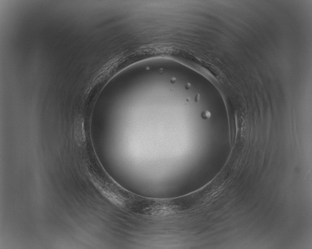 X0000054440254200507291325