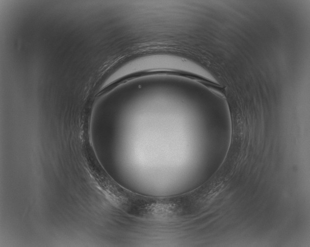 X0000054440255200507291325