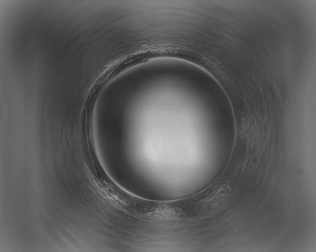 X0000054440256200507291325