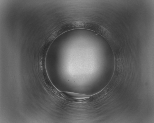 X0000054440267200507291325