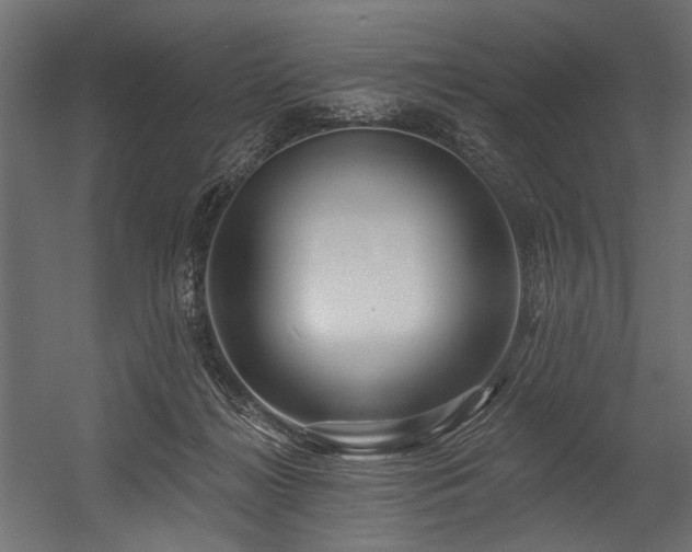 X0000054440268200507291325