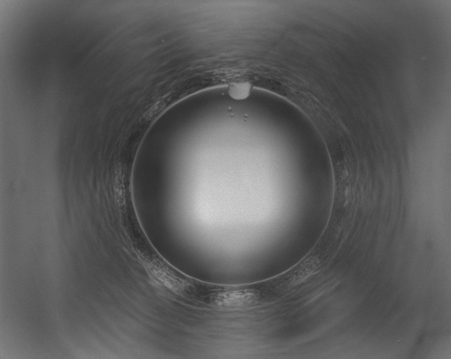 X0000054440274200507291325
